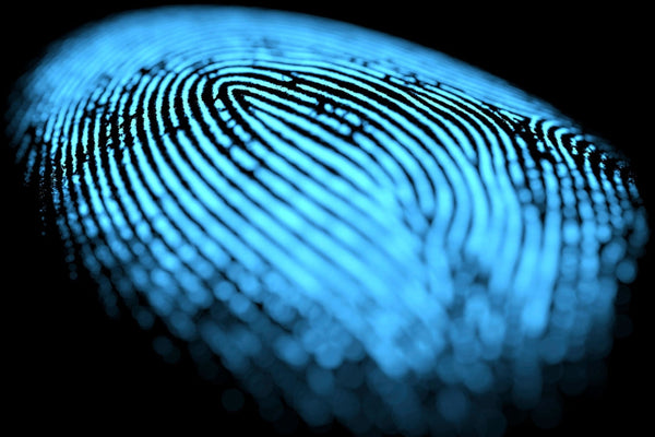 Crête et vallée d'une empreinte digitale